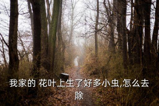 花葉蟲子用什么農(nóng)藥,花葉有蟲子有什么小妙招