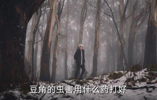 豆角的蟲害用什么藥打好