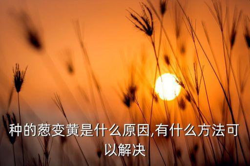 小蔥黃打什么農藥,小蔥需要打農藥嗎