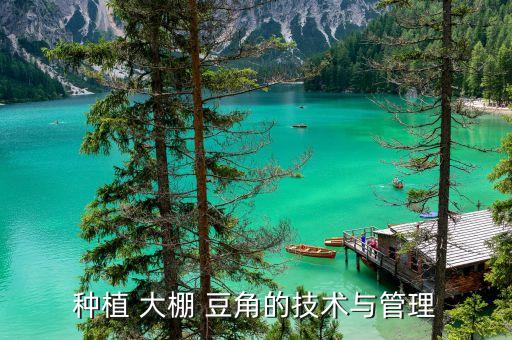 大棚長豆角用什么農(nóng)藥,豆角主要打什么農(nóng)藥