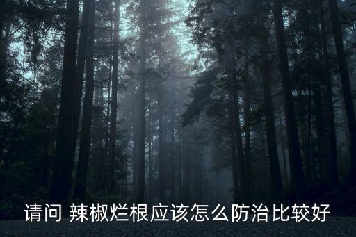 辣椒根病用什么農藥好,辣椒花期打什么農藥