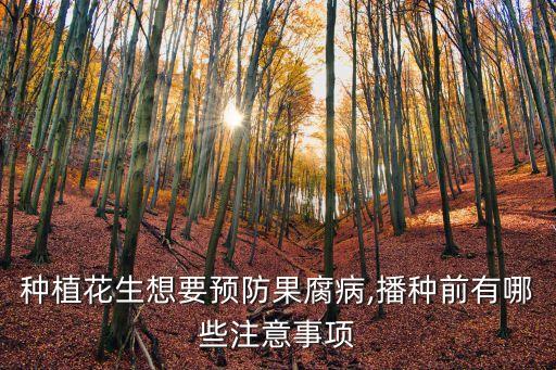 種植花生想要預(yù)防果腐病,播種前有哪些注意事項(xiàng)