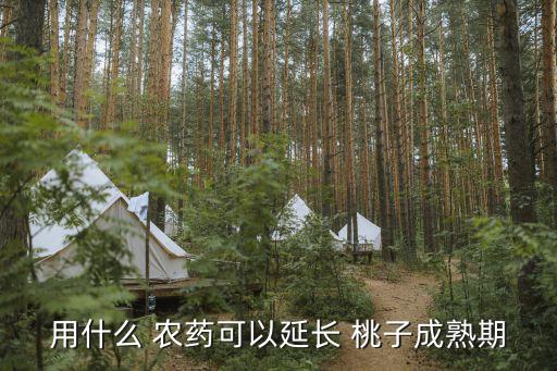 用什么 農(nóng)藥可以延長 桃子成熟期