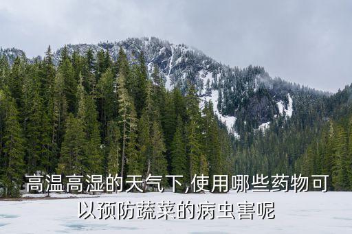  高溫高濕的天氣下,使用哪些藥物可以預防蔬菜的病蟲害呢