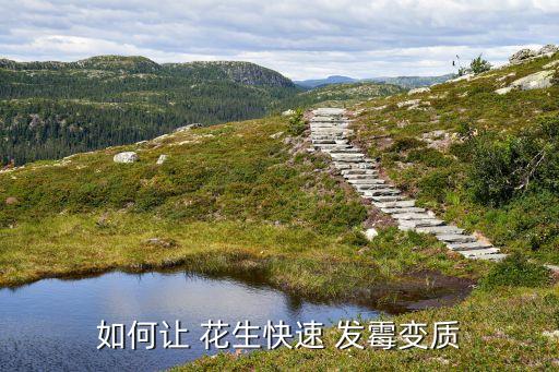 花生發霉用什么農藥最好