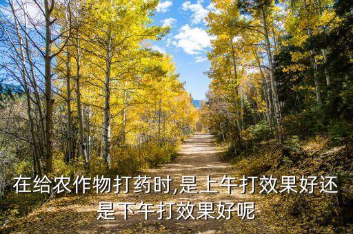 在給農(nóng)作物打藥時(shí),是上午打效果好還是下午打效果好呢