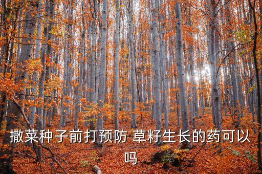 什么農藥能殺死草籽,土里邊的草籽用什么可以殺死