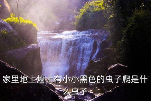 粉螨用什么農藥,辣椒殺螨什么農藥好