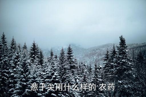 蔥干尖用什么樣的 農藥
