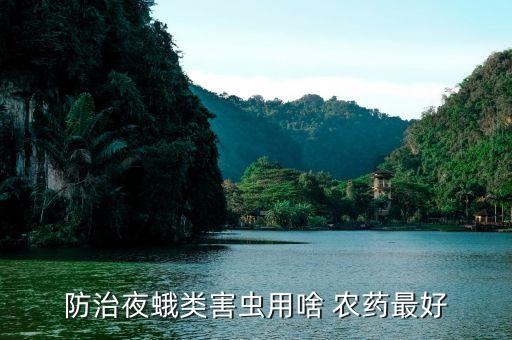 小葉蛾打什么農藥,小葉綠蟬用什么農藥