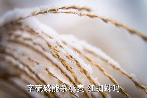 麥田紅蜘蛛用什么農藥防治,麥田里的紅蜘蛛需要防治嗎