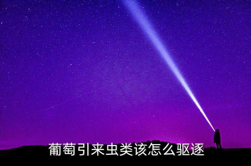  葡萄引來蟲類該怎么驅(qū)逐