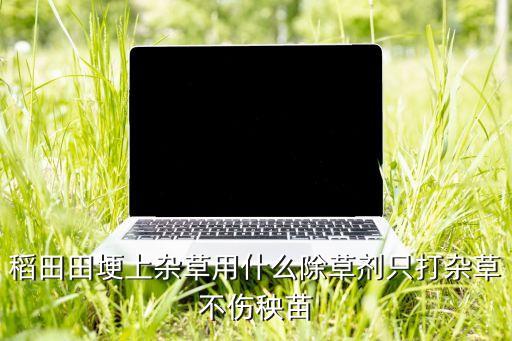 死秧用什么農(nóng)藥最好,有什么農(nóng)藥可以喝了直接死