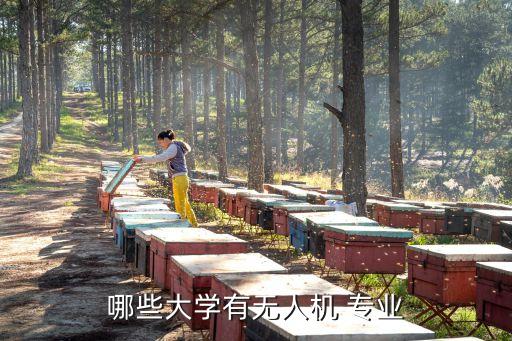 哪些大學有無人機 專業(yè)