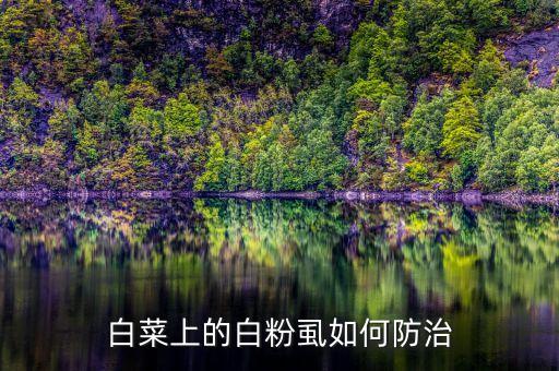 蔬菜的虱子用什么農藥殺,什么農藥可以殺虱子