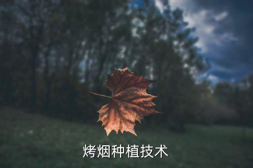 煙農(nóng)用什么農(nóng)藥最好用