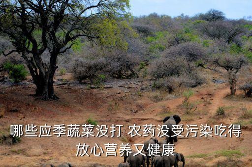 哪些應(yīng)季蔬菜沒(méi)打 農(nóng)藥沒(méi)受污染吃得放心營(yíng)養(yǎng)又健康