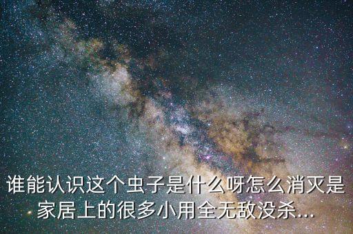 誰能認識這個蟲子是什么呀怎么消滅是家居上的很多小用全無敵沒殺...