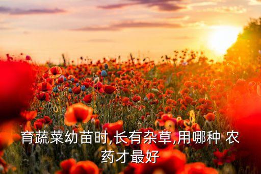 種地什么農藥最好呢,炭疽病用什么農藥最好