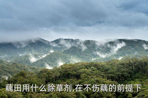 藕田用什么除草劑,在不傷藕的前提下