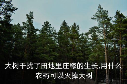 用什么農藥除掉樹木,什么農藥對樹木危害最大