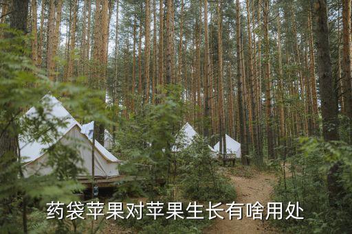 藥袋蘋果對蘋果生長有啥用處