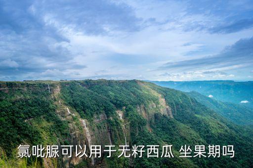 氯吡脲可以用于無籽西瓜 坐果期嗎