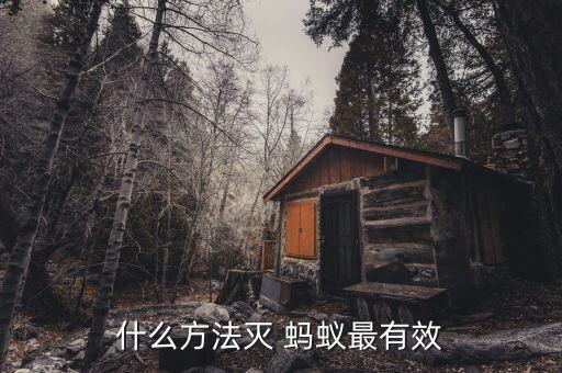 什么方法滅 螞蟻?zhàn)钣行? class=