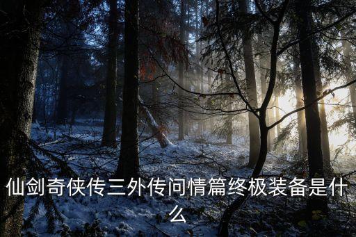 仙劍奇?zhèn)b傳三外傳問情篇終極裝備是什么
