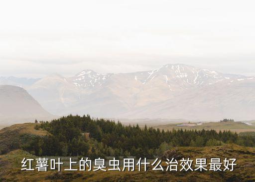  紅薯葉上的臭蟲用什么治效果最好