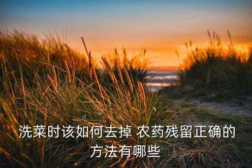 洗菜可以加什么農(nóng)藥殺菌