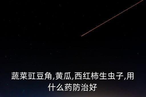蔬菜豇豆角,黃瓜,西紅柿生蟲子,用什么藥防治好