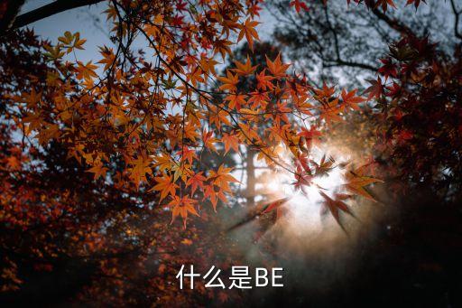 什么是BE
