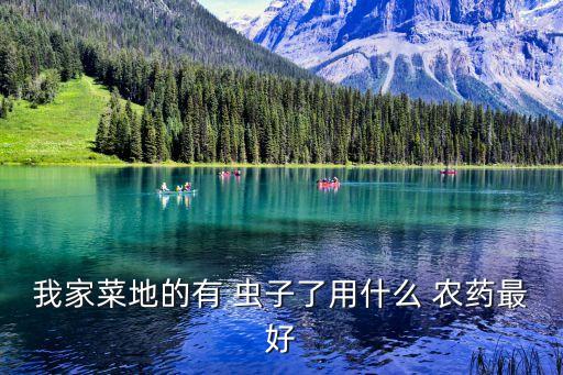 用什么農(nóng)藥能殺死蟲(chóng)子,葉片上的蟲(chóng)子用什么農(nóng)藥