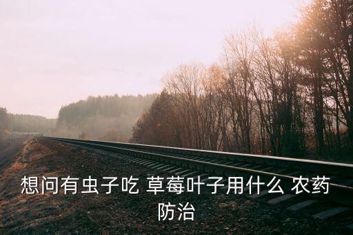 想問(wèn)有蟲(chóng)子吃 草莓葉子用什么 農(nóng)藥防治