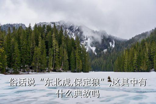 西北狼是什么農(nóng)藥,甘肅西北狼農(nóng)藥有限公司