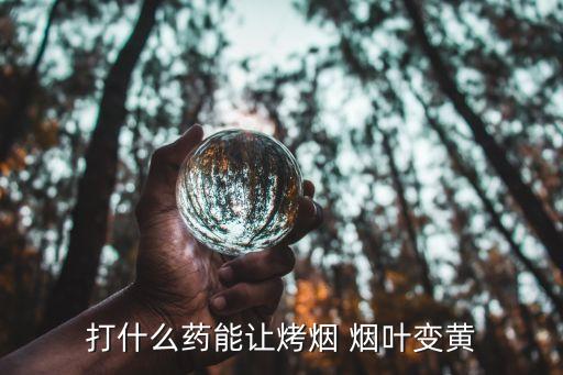 用什么農(nóng)藥使煙葉不會(huì)爛