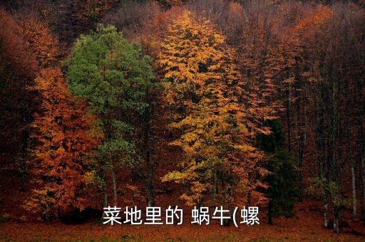 蝸牛用什么農藥打菜,菜里有蝸牛 說明沒打農藥嗎