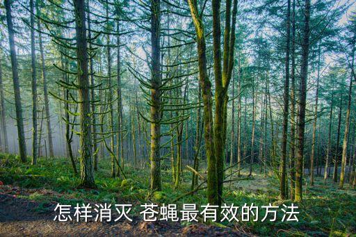 用什么農(nóng)藥可以治蒼蠅,什么農(nóng)藥能大量殺死蒼蠅