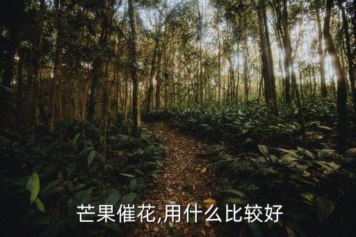  芒果催花,用什么比較好