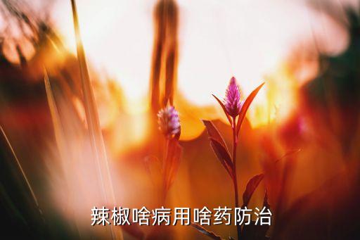 辣椒封膜用什么農藥,辣椒花期打什么農藥