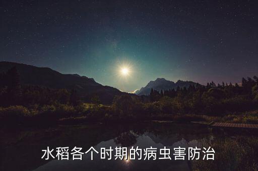 稻葉蟬用什么農藥殺死,葉蟬防治特效藥