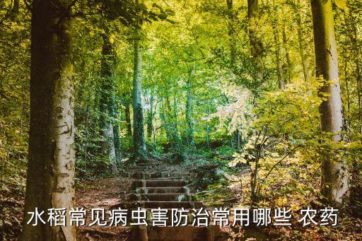  水稻常見病蟲害防治常用哪些 農藥