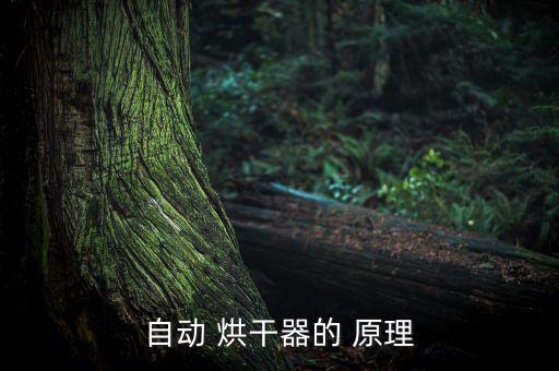 自動(dòng) 烘干器的 原理