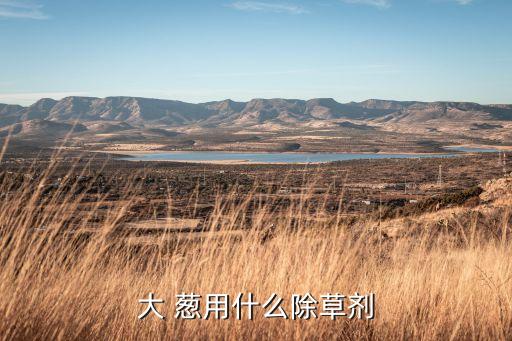 蔥用什么農藥,蔥什么農藥可以退老葉