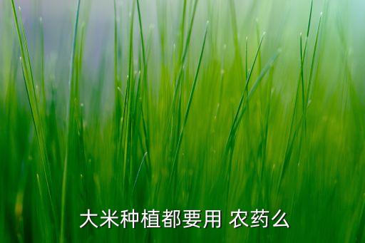 種大米打什么農(nóng)藥啊最好,大米有農(nóng)藥味什么原因