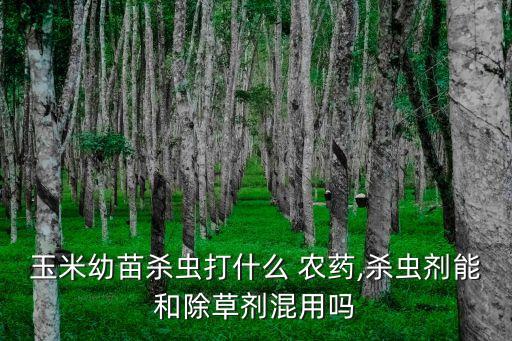 玉米幼苗殺蟲打什么 農藥,殺蟲劑能和除草劑混用嗎