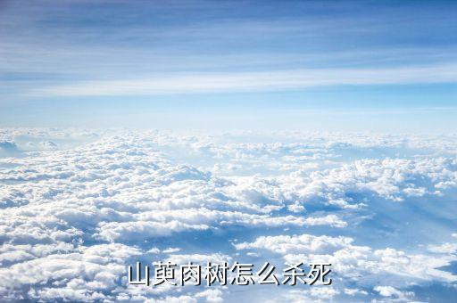 青蛾蟲用什么農藥冶,小白蛾用什么農藥效果好