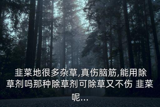  韭菜地很多雜草,真?zhèn)X筋,能用除草劑嗎那種除草劑可除草又不傷 韭菜呢...