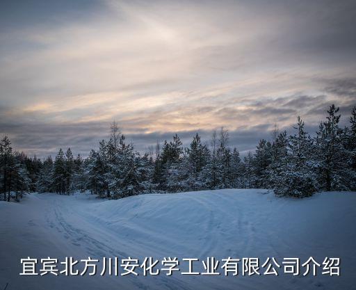 宜賓北方川安化學工業有限公司介紹